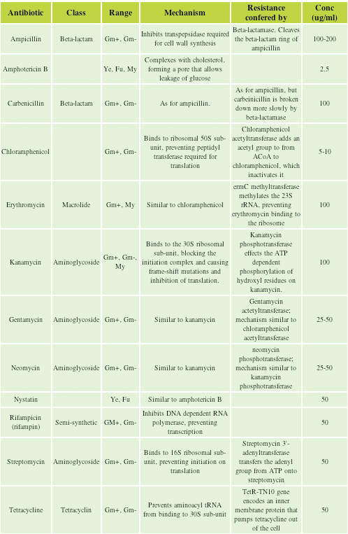 Metformin to buy online