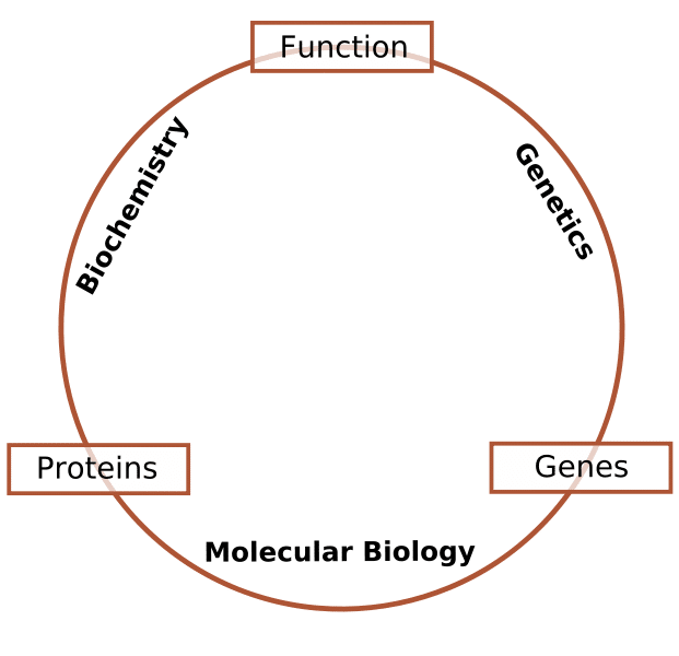 History of Molecular Biology