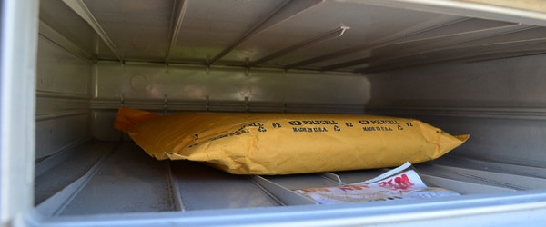 Sending Plasmids: How to Avoid Jail Time and Shredded Envelopes