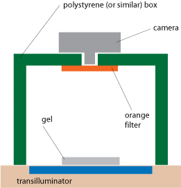 diy-dna-gels.gif