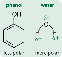 The Basics How Phenol Extraction Of Dna Works