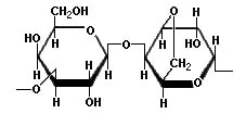 Agarose Gels Do Not Polymerise!