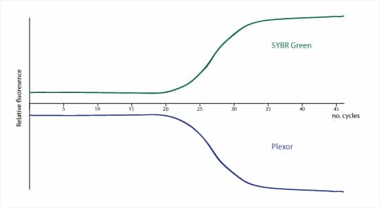 qpcr