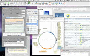 serial cloner clone in oligo