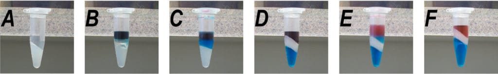 Practical Application Of Phenol Chloroform Extraction