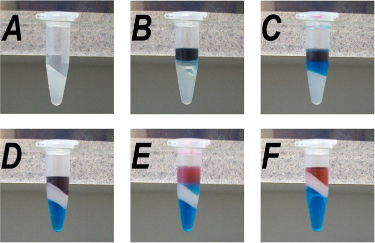 dna extraction using phenol chloroform