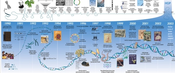 Human Genome Project – 10 Years Since The First Draft