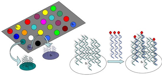 introduction-to-dna-microarrays-bitesize-bio