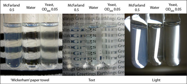 epub The Reflecting Glass: