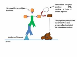 Oxidisation