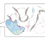 An Introduction To ChIP-seq