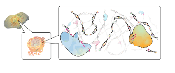 An Introduction To ChIP-seq