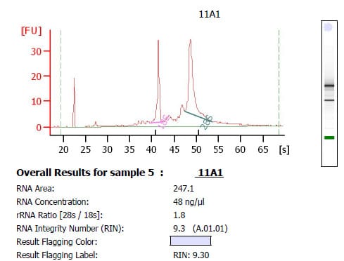 How to Extract High-Quality RNA for Microarray Analysis