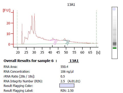 How to Extract High-Quality RNA for Microarray Analysis