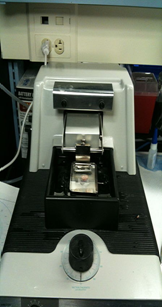 vibratome