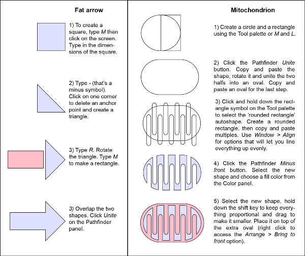 Make Better Figures Faster Using Illustrator