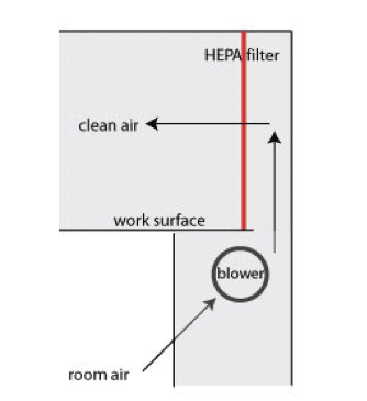 Biological Safety Cabinets And Culture Hoods Know The Difference