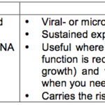 Principles and Mechanisms of Mammalian Cell Transfection