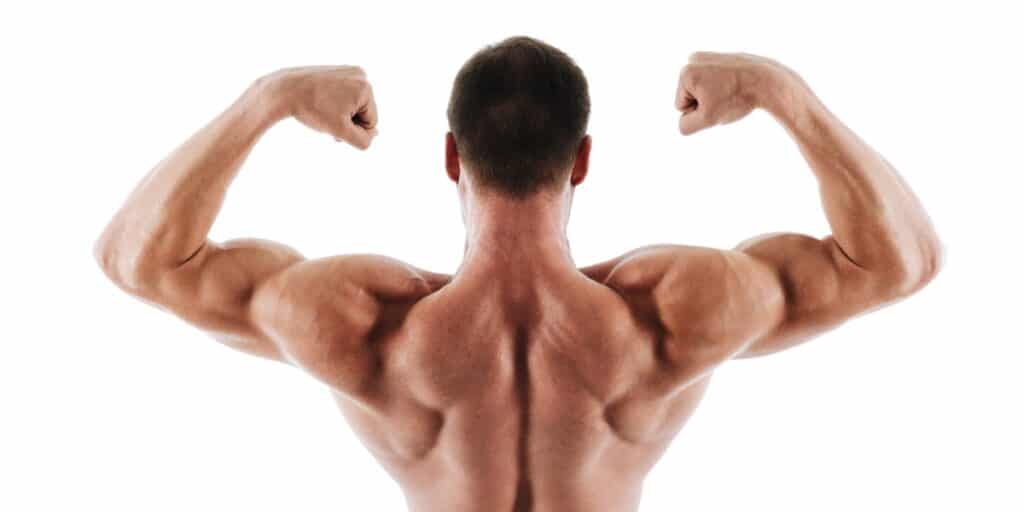 Image of a young man showing his back to highlight how periodic acid Schiff stains polysaccharides such as glycogen