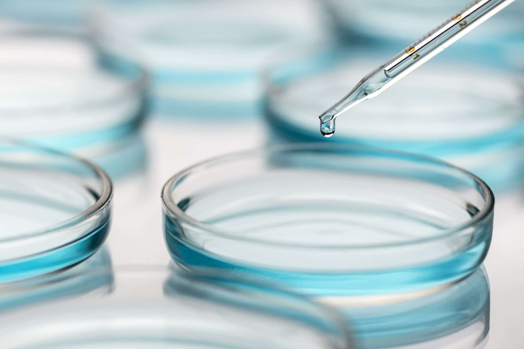 Cell culture on a budget