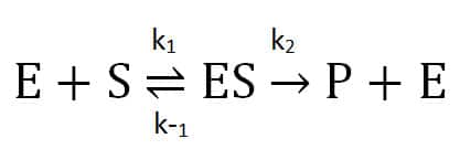 A Quick Primer on Enzyme Kinetics