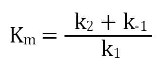 A Quick Primer On Enzyme Kinetics