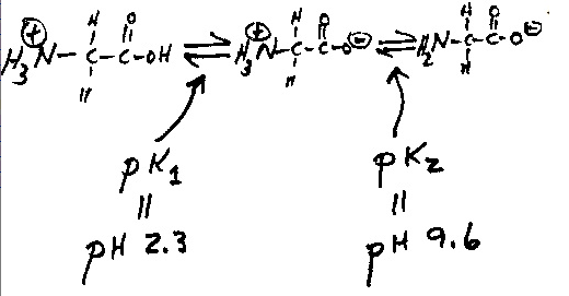 Function of tris hcl in sds page