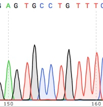 chromatogram viewer in sequencher not available