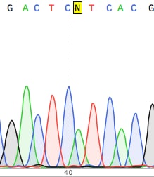 sequencher compare chromatograms