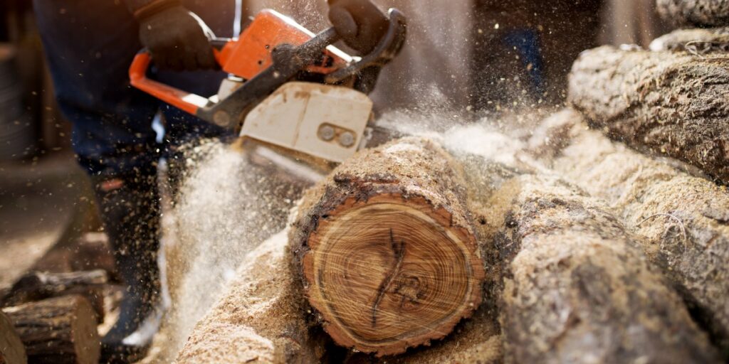 Image of a lumberjack cutting a tree to represent tissue sectioning tips