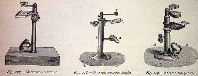 A (very) Short History of Histology