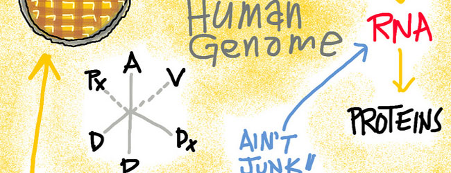 Don’t Get Lost in RNA-seq Translation: RNA Sequencing the NGS Way