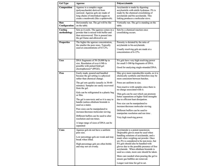 Agarose versus Polyacrylamide: Not All Gels Are Created Equal