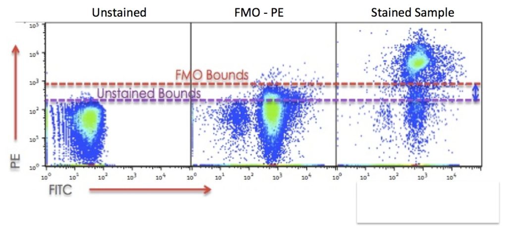 FMO fig 2