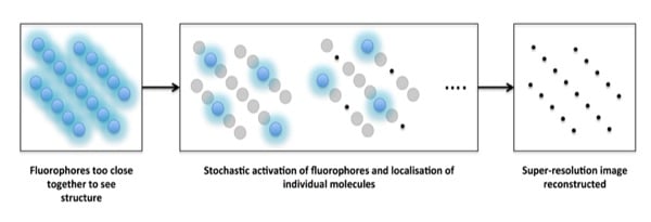 Part 2 The Who S Who Of Super Resolution Microscopy Single Molecule Localisation Techniques