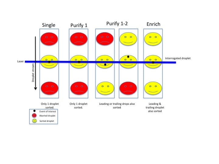 Where Are My Cells: Part 1