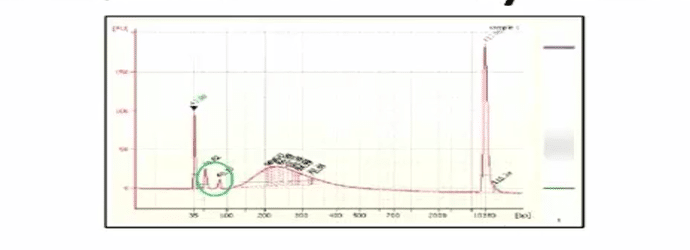 the_fundamentals_of_sample_preparation_for_next_generation_sequencing