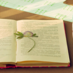 Top Ten Science Site for Tea-Break Reading