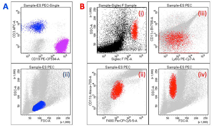 Immunophenotyping: Identifying Who’s Who in the Cellular World