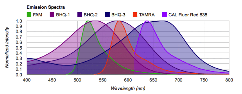 An Essential Toolbox for qPCR Users