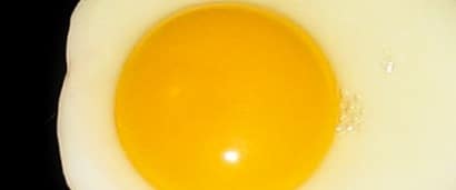 Vitamin H and Egg White: Streptavidin-Biotin for Immunohistochemistry