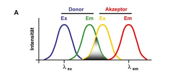 classroom discourse analysis