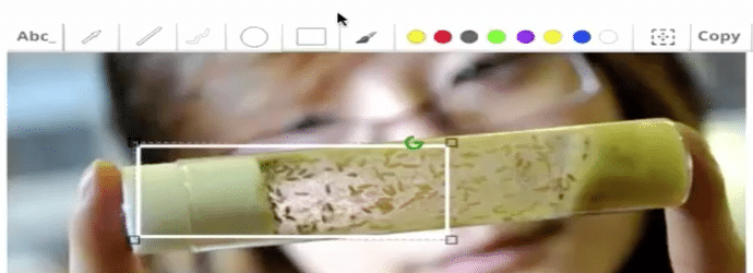 4_ways_you_can_improve_your_research_reproducibility