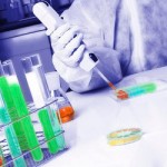 Top Tips on How to Prevent Cell Line Cross-Contamination