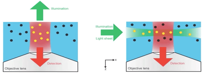 in_vivo_and_cleared_tissue_imaging_for_light-sheet_microscopy