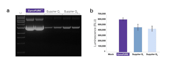 qiagen plasmid mini midi and maxi kits