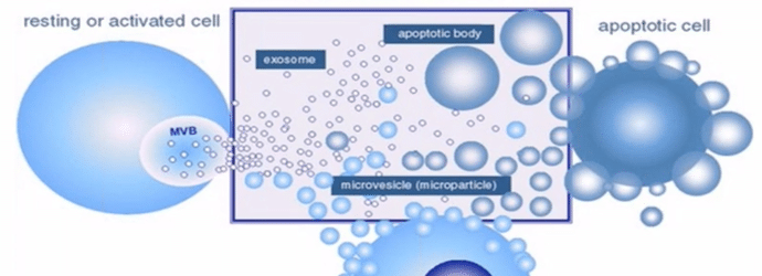 measuring_extracellular_vesicles_by_flow_cytometry_challenges_and_prospects