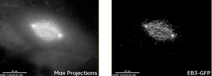 practical_super-resolution_imaging_sim_capabilities_sample_prep_and_analysis