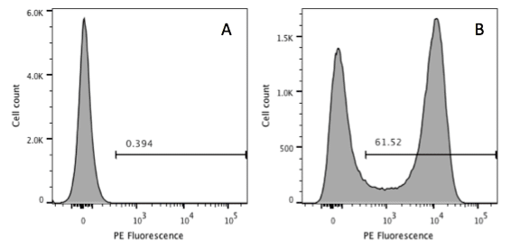 flow cytometry results yes