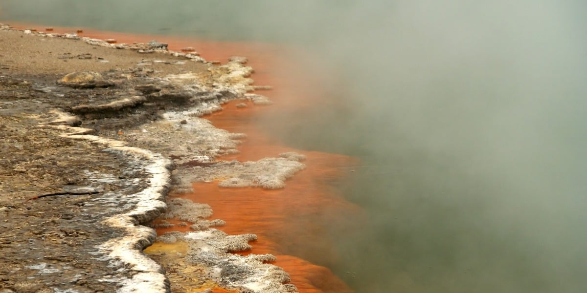 thermal springs to show the extreme environment where good DNA polymerases for PCR can be found